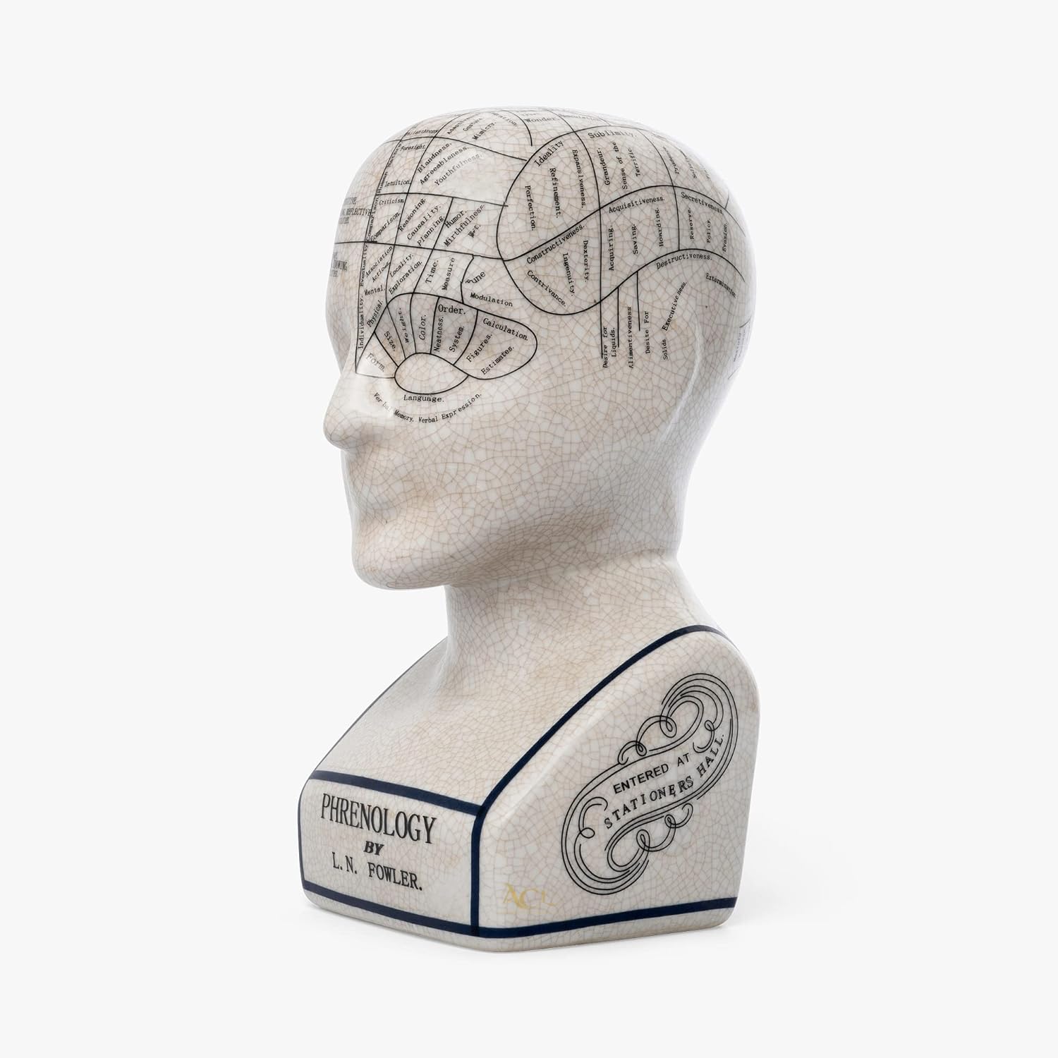 Phrenology Porcelain Head