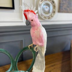 Festive Pink and White Cockatoo