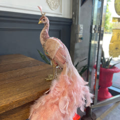 Queen of St Kilda  Peacock - Velvet, Pink Sequins and Feathers