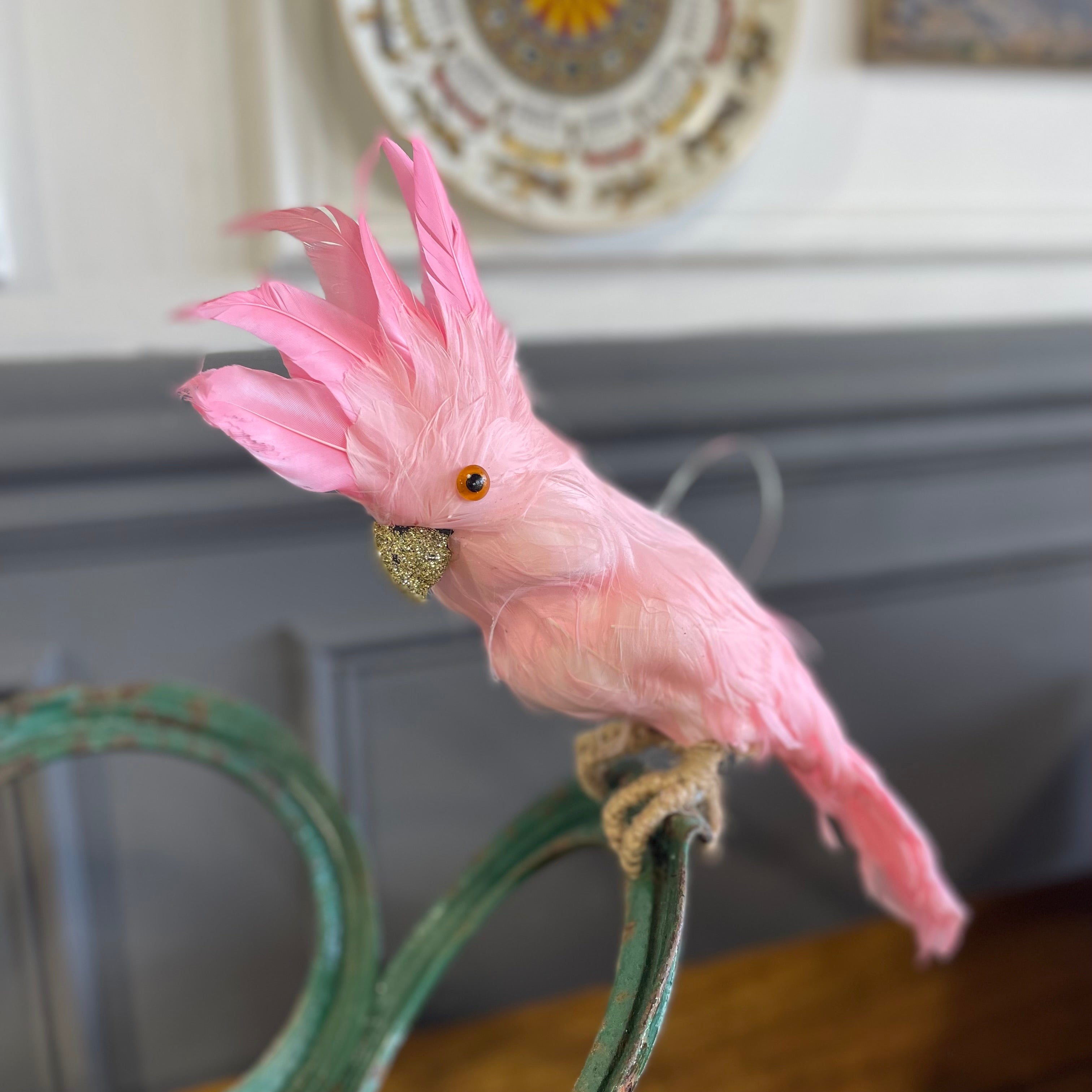 'Pinky' Cockatoo - Festive Pink