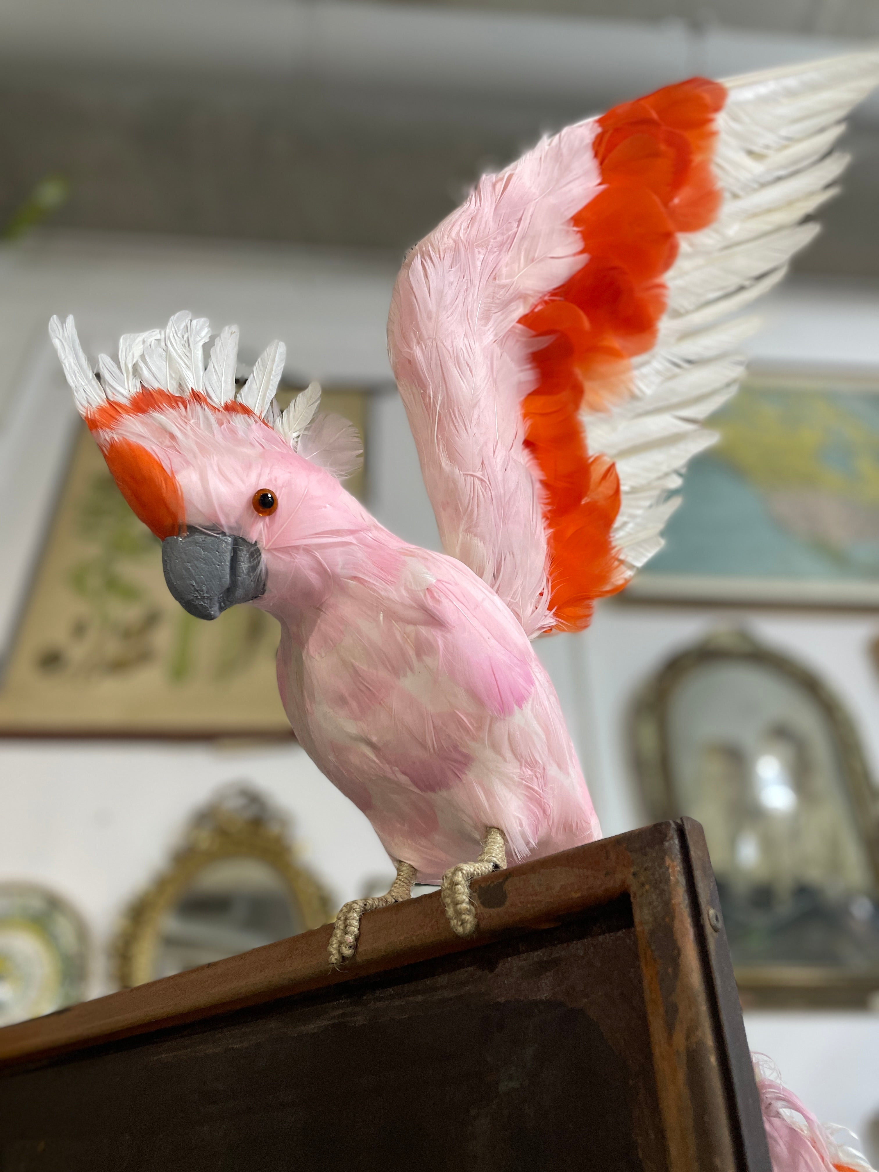 Flying Cockatoo - Large