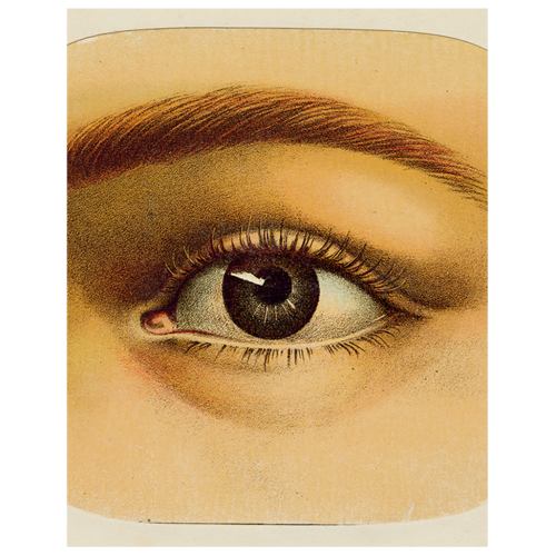 John Derian Eye Tray
