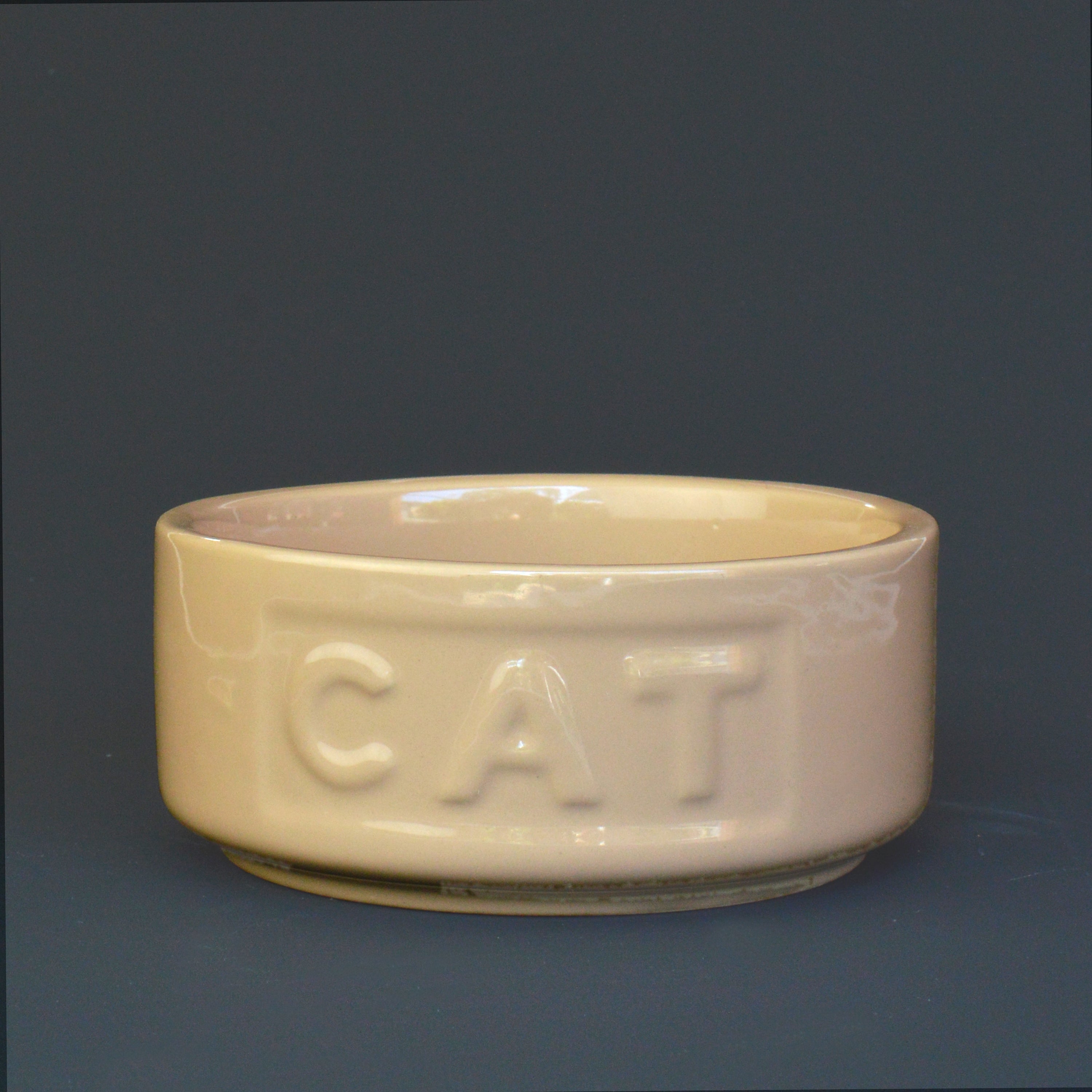 Cat Bowl Cornishware by Mason Cash