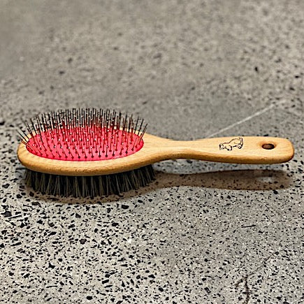 Pet Brush with Bristle and Metal Pins