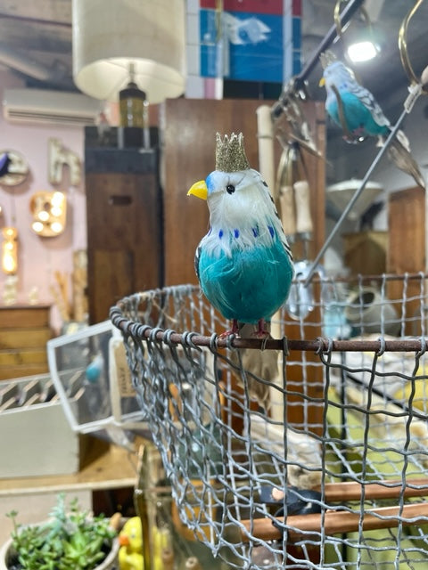 Regal Feathered Budgie Decoration