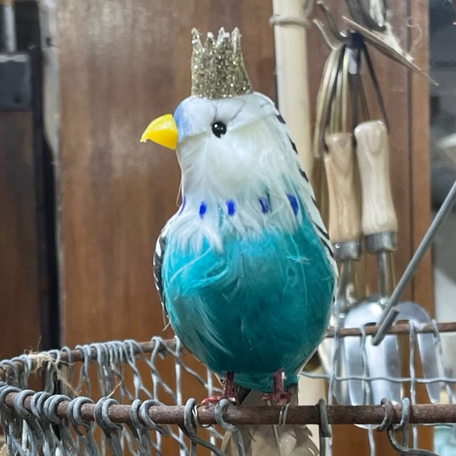 Regal Feathered Budgie Decoration