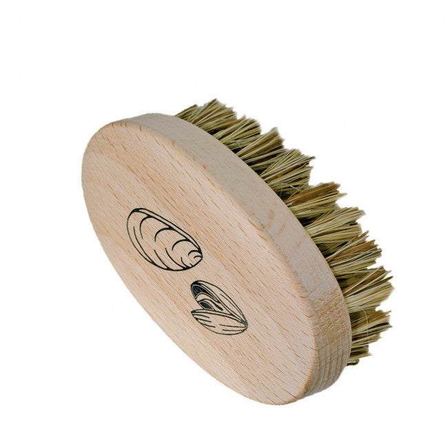 Beechwood Oyster and Mussel Scrubbing Brush